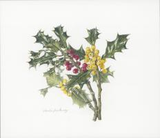 Holly